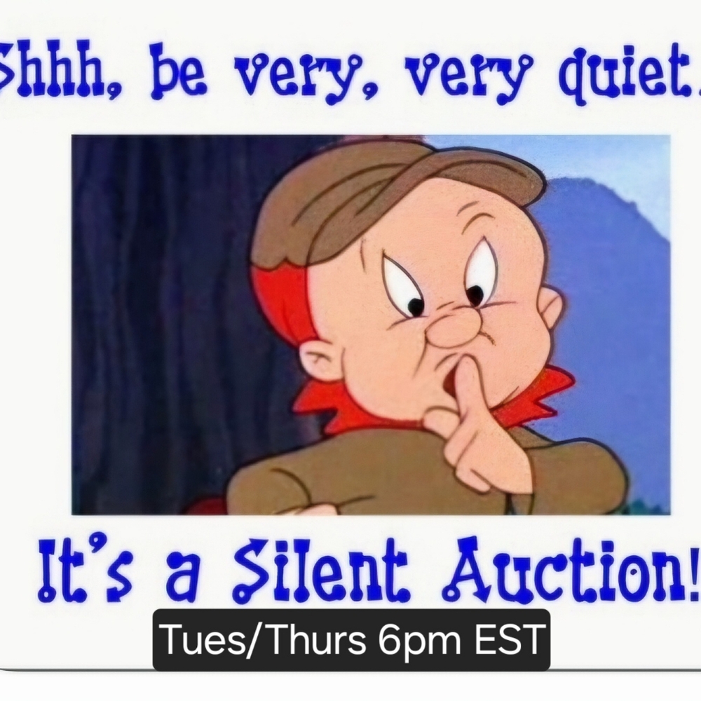 SILENT SHOW - CLOSET CLEAROUT TODAY 6 and 10 PM EST - HOT ITEMS